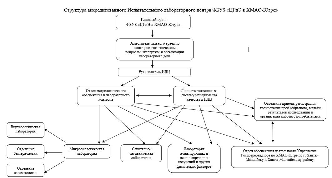 ИлцСтруктура2024.PNG
